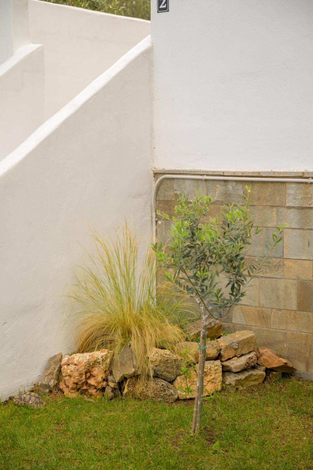 Apartamento Kyklades Sensation Artemida  Exterior foto